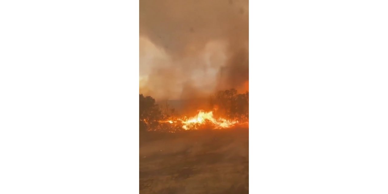 Muğla’daki yangına giden Sakarya orman yangını gönülleri alevlerin arasında kaldı