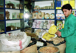 Hangi çay hangi hastalığa şifa?