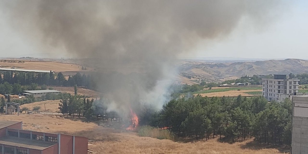 Çamlık alanda çıkan yangın paniğe neden oldu