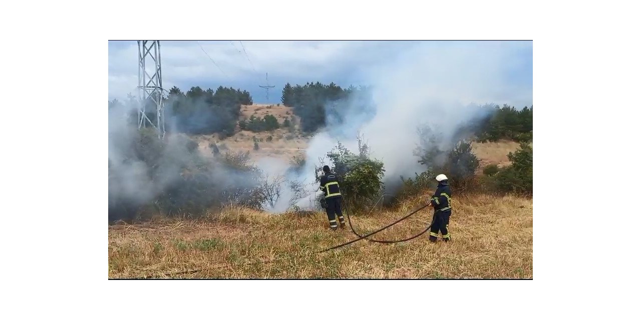 Arazide çıkan yangın söndürüldü
