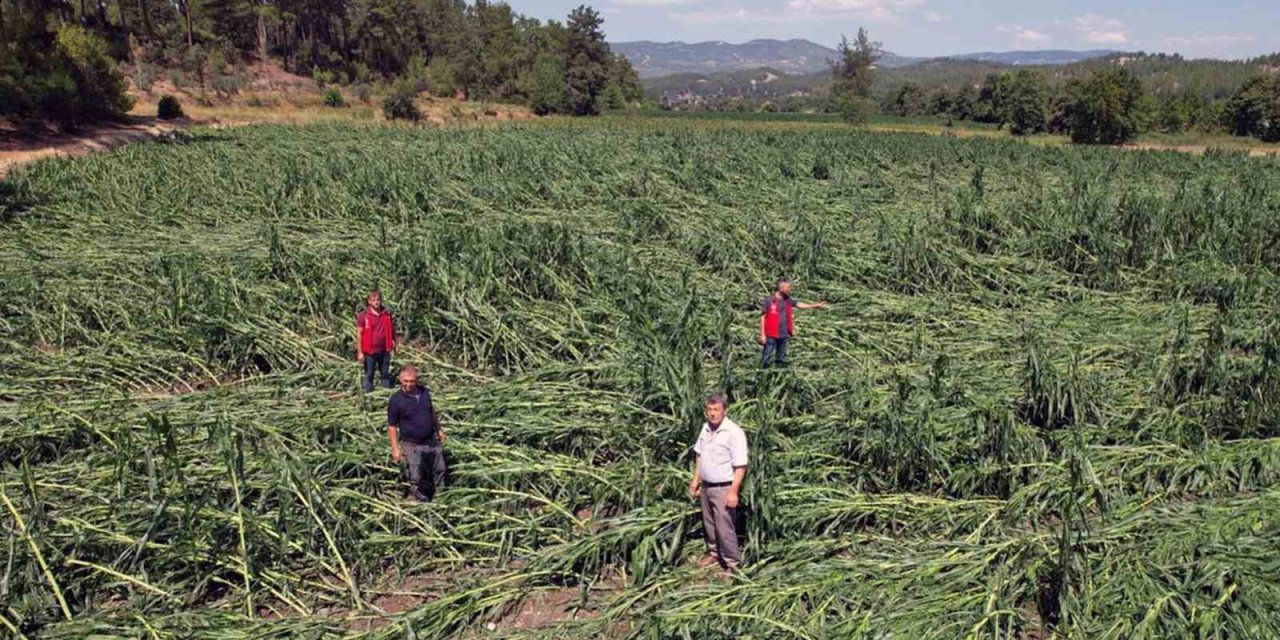 Dolu yağışı ürünleri vurdu