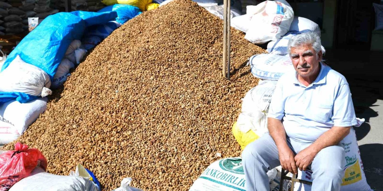 Erzincan’dan Malatya’ya 30 ton acı kayısı çekirdeği gönderiliyor