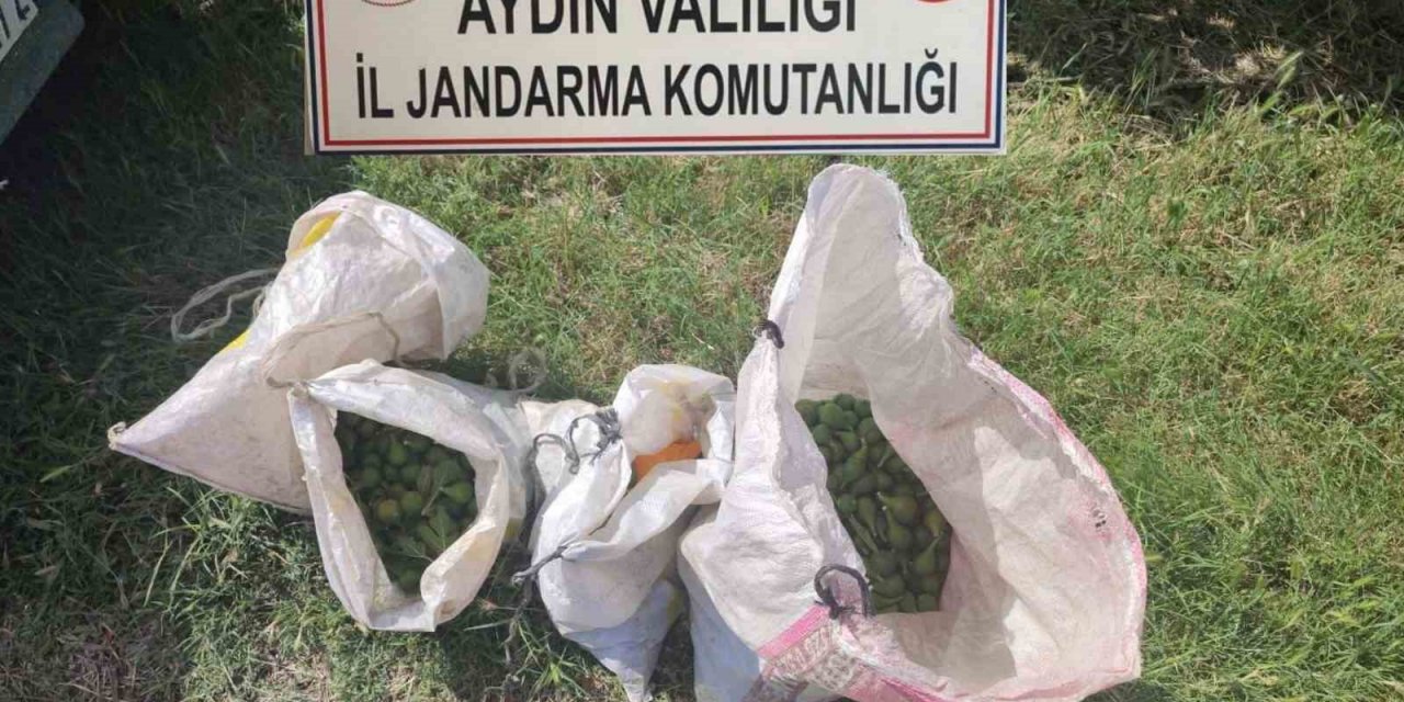 Jandarma’dan tarımsal ürün hırsızlığına geçit yok