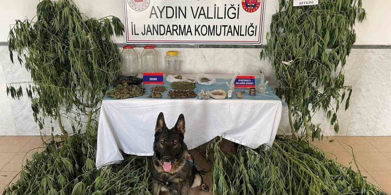 Aydın’da jandarma ekipleri uyuşturucuya geçit vermedi: 1 tutuklama