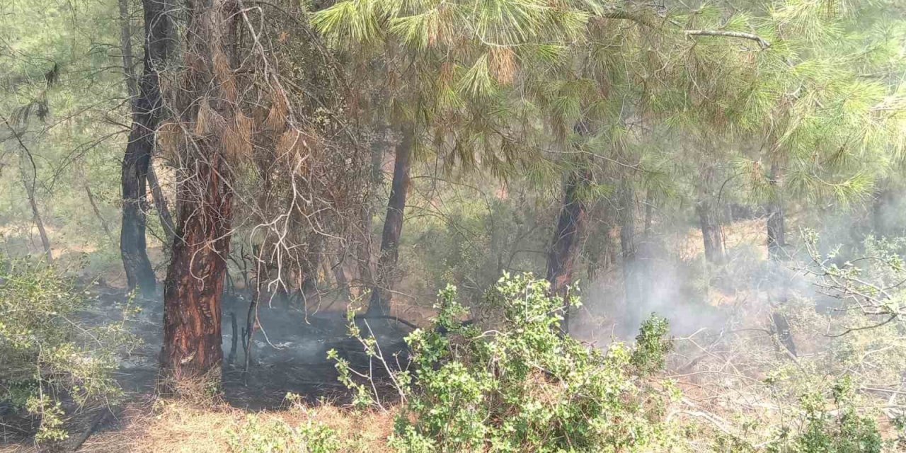 Kozan’daki orman yangını kontrol altına alındı