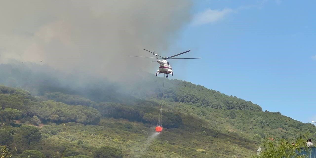 Başıbüyük Ormanı’nda çıkan yangına itfaiye ve helikopter müdahale ediyor