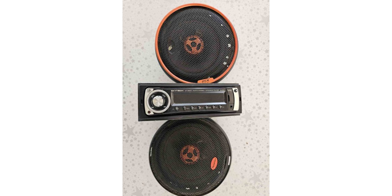 Oto hırsızları polisten kaçamadı