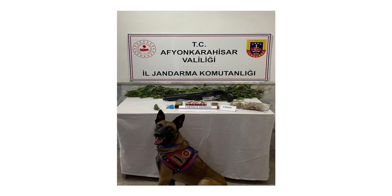 Kenevir yetiştiren şahıs yakalandı