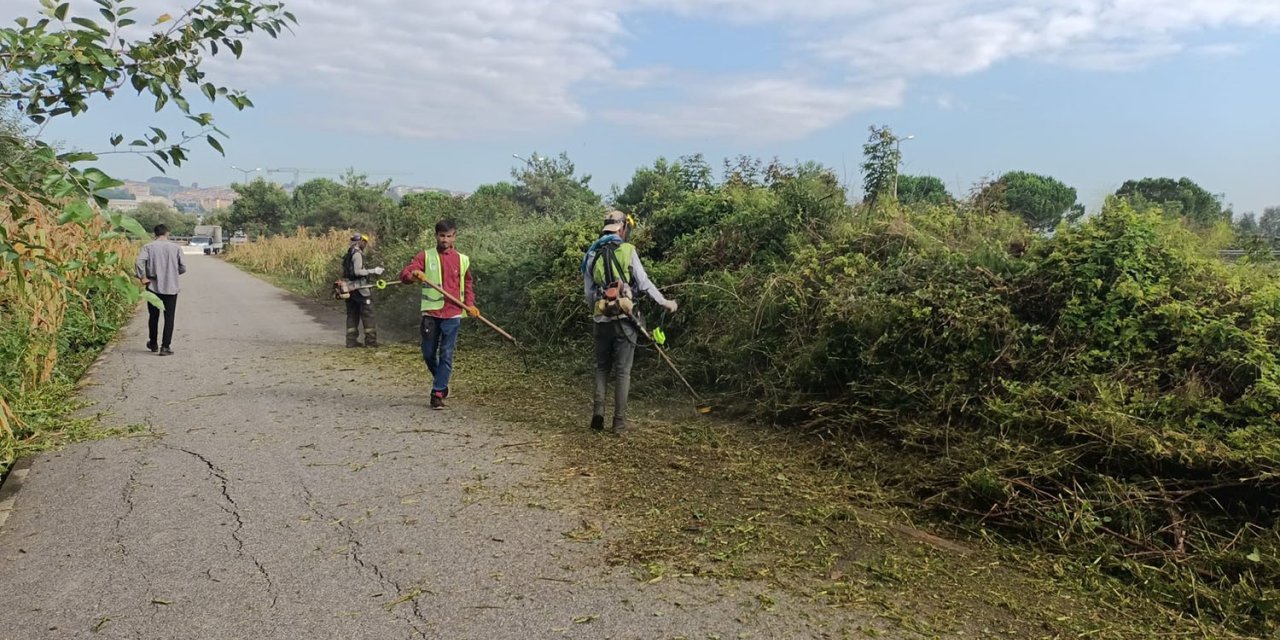 Bisiklet yollarında temizlik