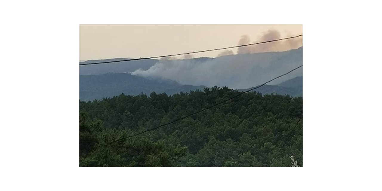 Marmaris’te yıldırım yangını