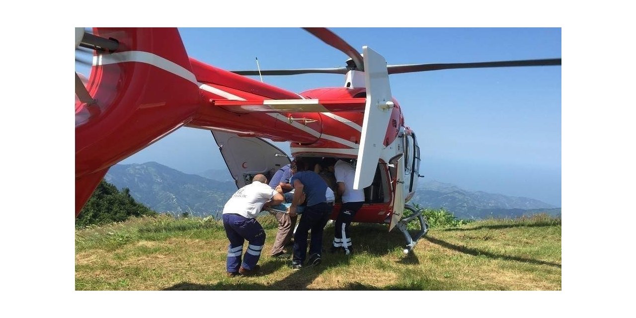 Yaz mevsiminde 113 vaka için havalandı