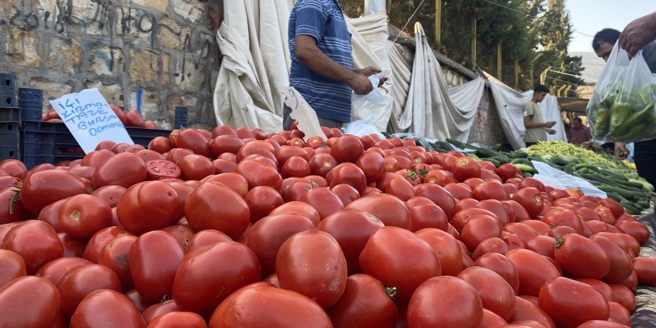 Salçalık domates ve biberler tezgahlarda