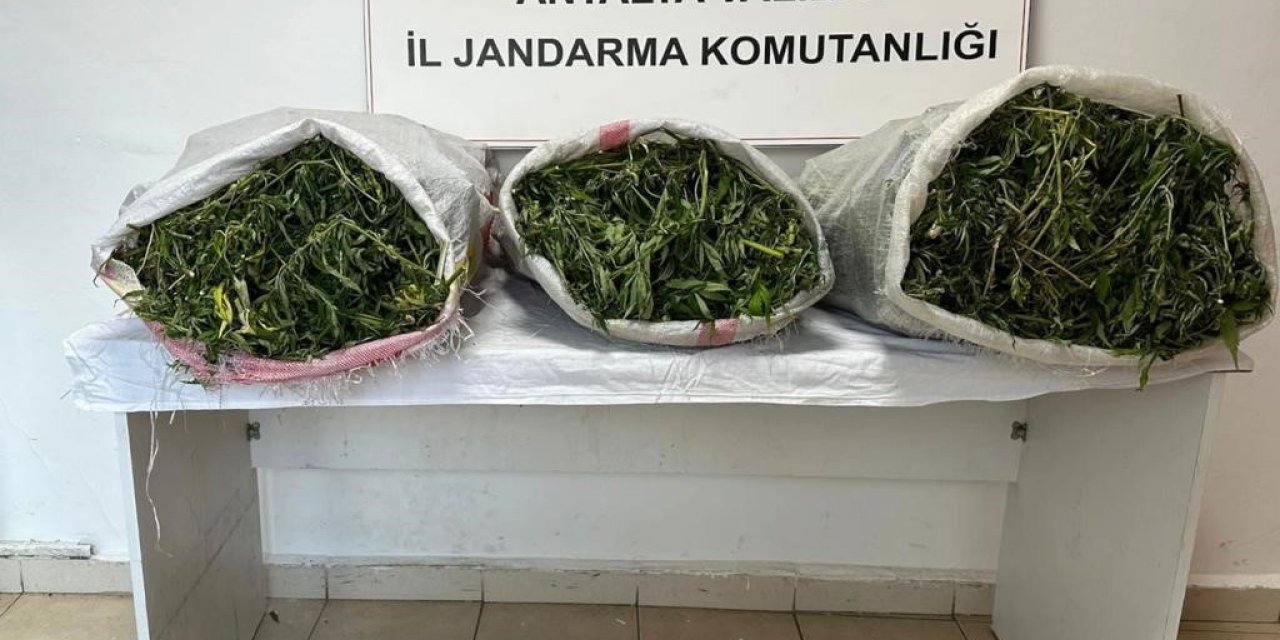 19 kilo 745 gram skunk maddesi ele geçirildi