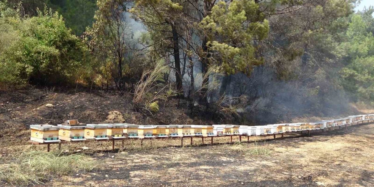 Yol kenarında başlayan yangında arı kovanları hızlı müdahaleyle kurtuldu