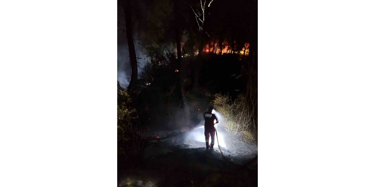 Adana’daki orman yangını büyümeden söndürüldü