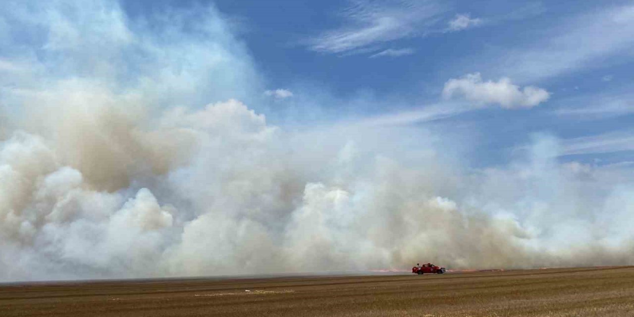 Tekirdağ’da 500 dönüm anız alev alev yandı