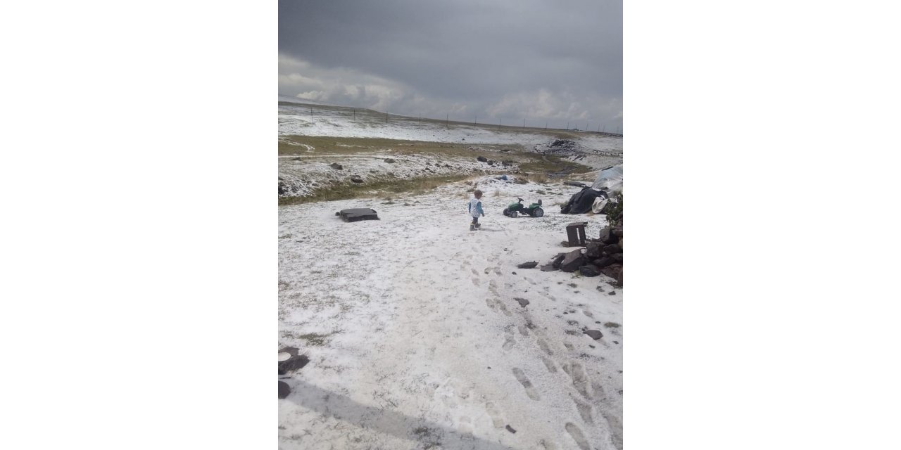 Ardahan’da dolu yağışı