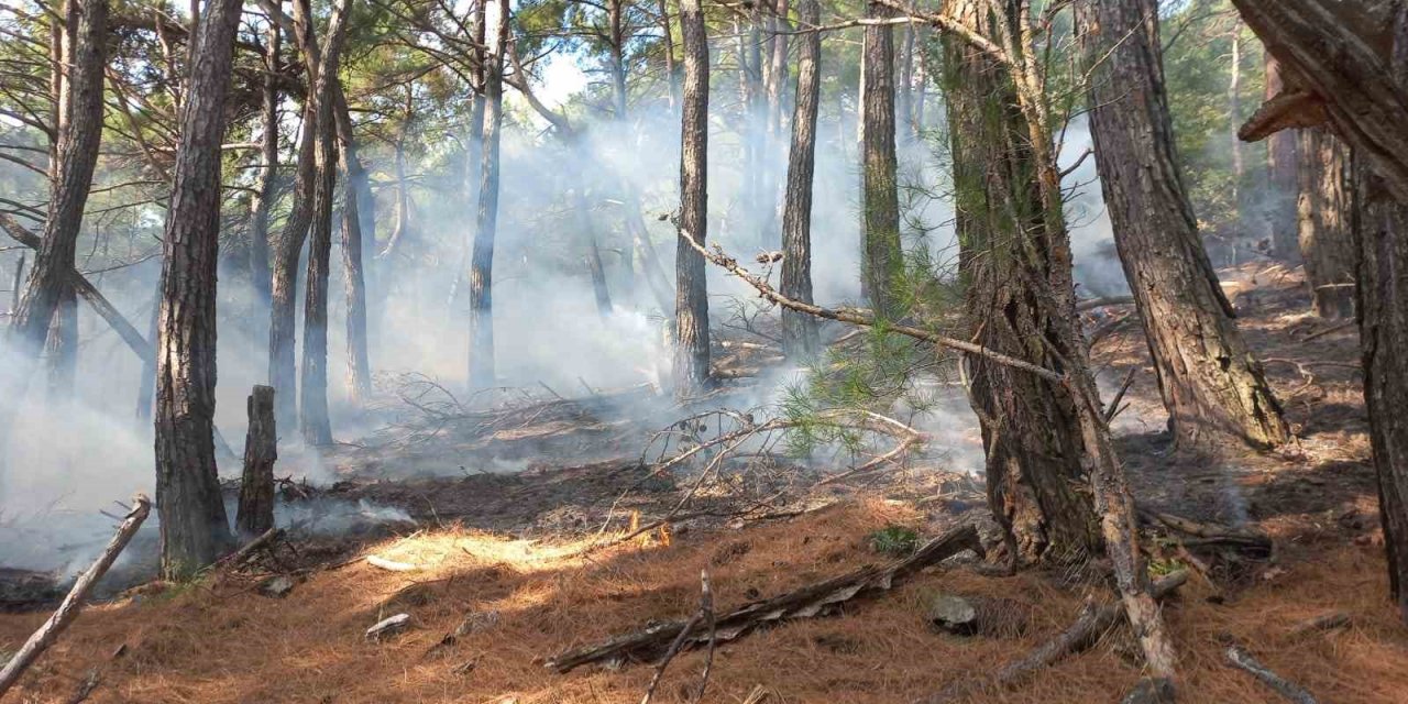 Kazdağları’nda örtü yangını