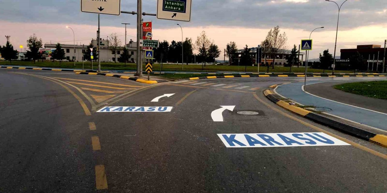 Sakarya Büyükşehir’den şehrin önemli güzergahlarına estetik dokunuş