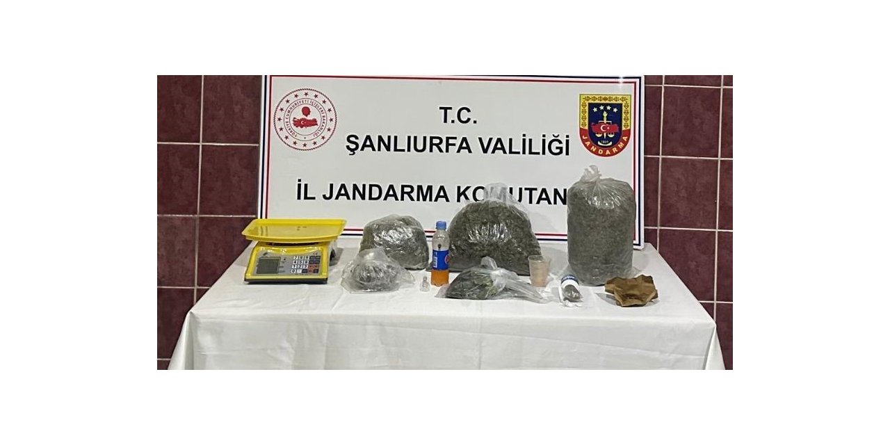 Jandarmadan uyuşturucu operasyonu: 1 gözaltı