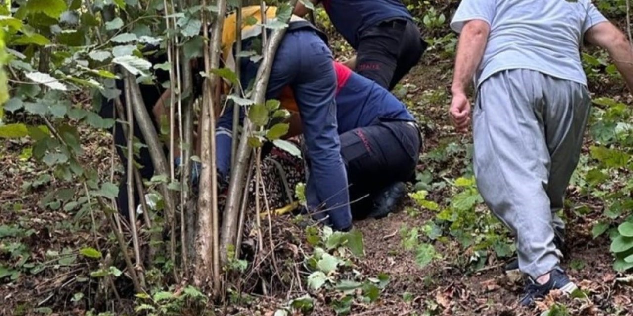 Fındık toplarken ağaçtan düşen kişi ayağını kırdı