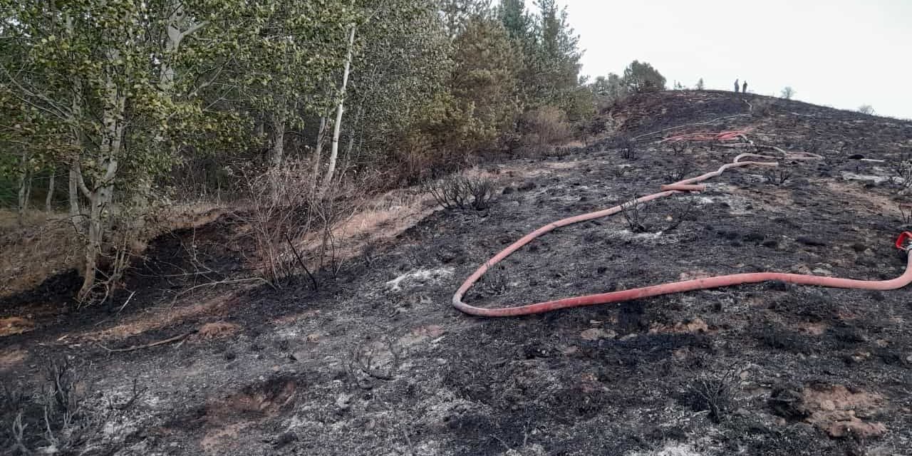Gümüşhane’de iki köyde yangın paniği
