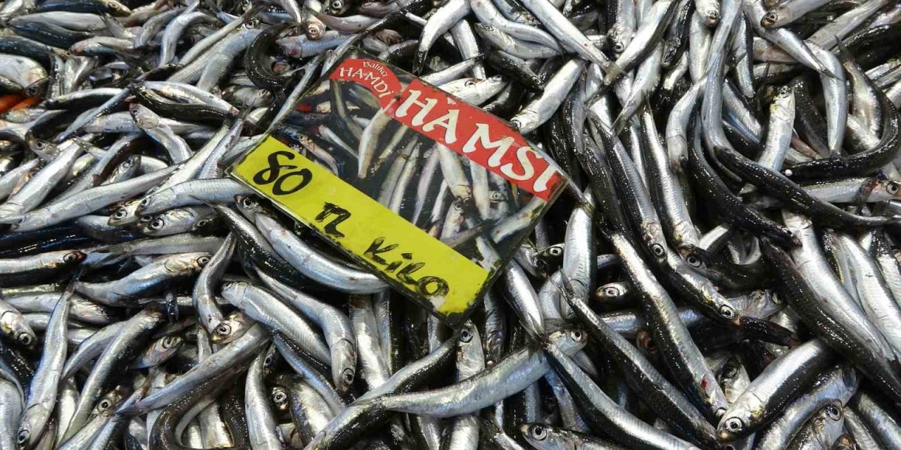 Tezgahlarda hamsi bolluğu yaşanıyor