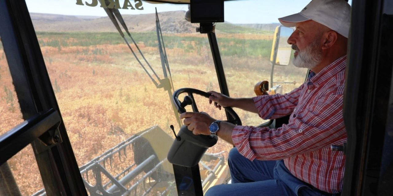 Başkan Çolakbayrakdar, ekimini yaptığı aspirin hasadını da kendisi yaptı