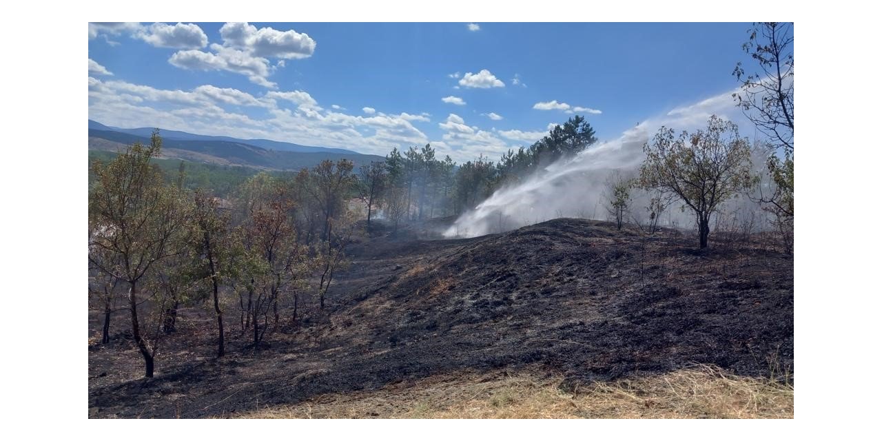 Tarlada çıkan anız yangını büyümeden söndürüldü