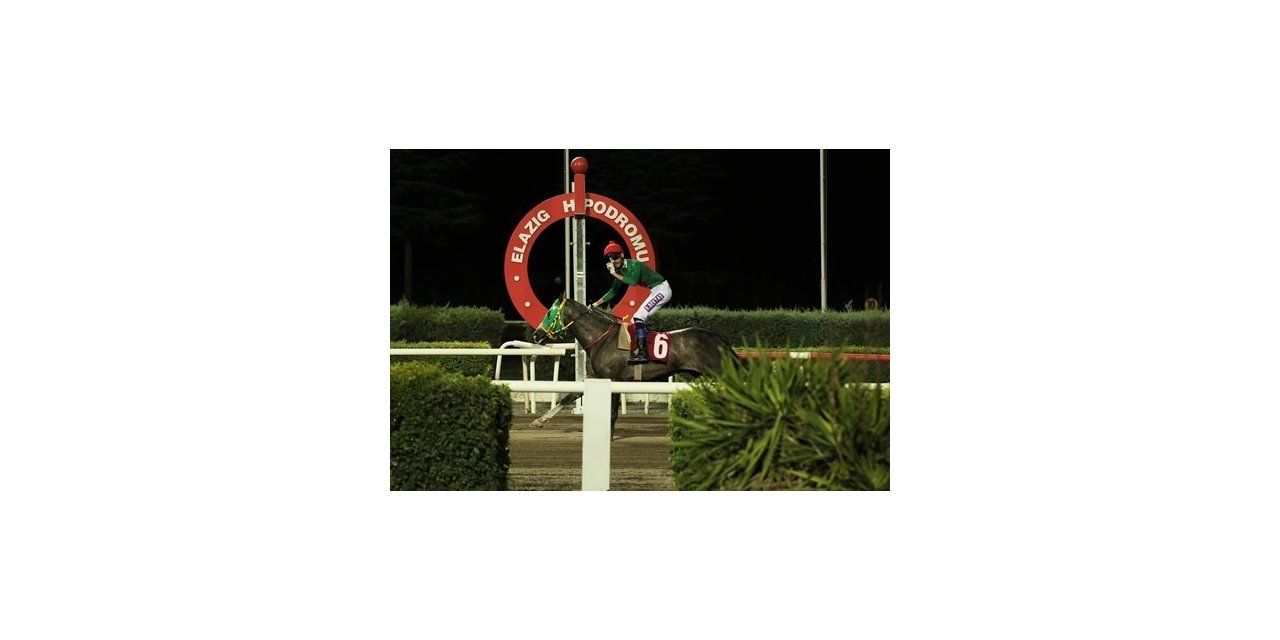 Prof. Dr. Mustafa Temizer Koşusunda kazanan Göbeklitepe Ağası oldu