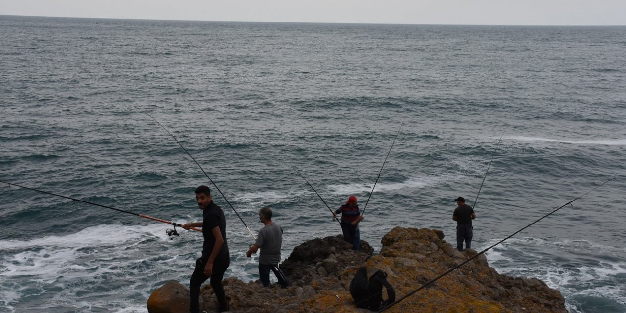 Tabiat harikası koyda balık avı