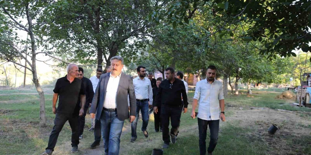 Melikgazi’den sokak hayvanlarına destek