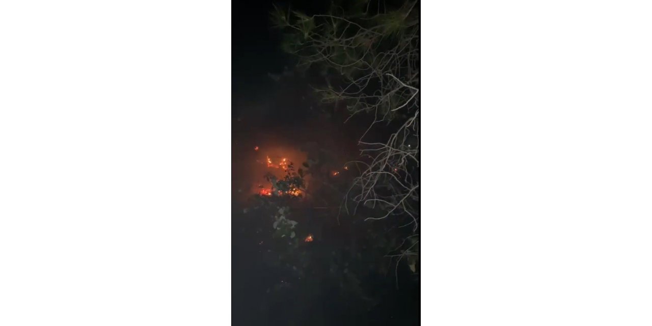 Muğla Menteşe’deki orman yangını kontrol altına alındı