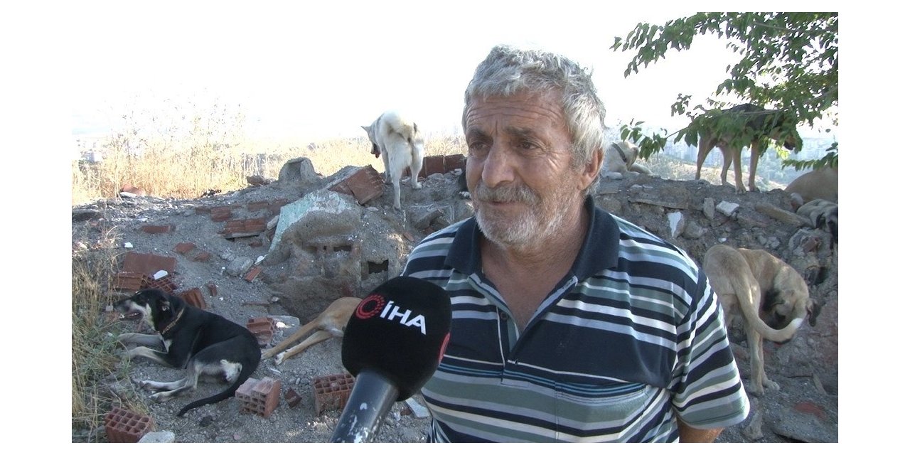 Sokak köpeklerini beslediği için komşusunun silahlı saldırısına uğradı