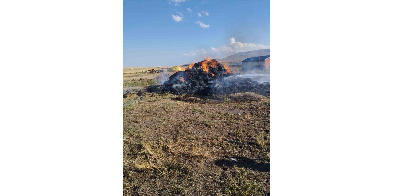 Kars’ta 20 ton ot yanarak kül oldu