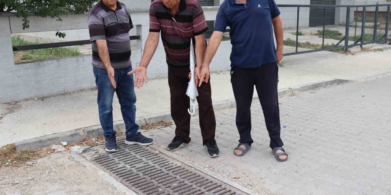 Bu mazgallardan su gitmez