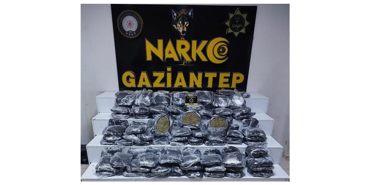 Gaziantep’te 51 kilo skunk ele geçirildi