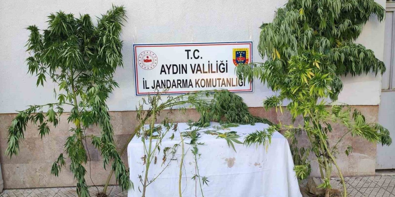 Aydın’da jandarma ekipleri uyuşturucuya geçit vermiyor