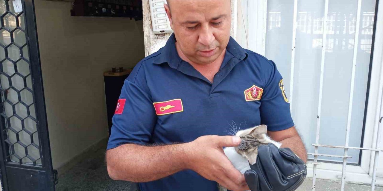 Bodrum havalandırmasına düşen yavru kediyi, itfaiye kurtardı