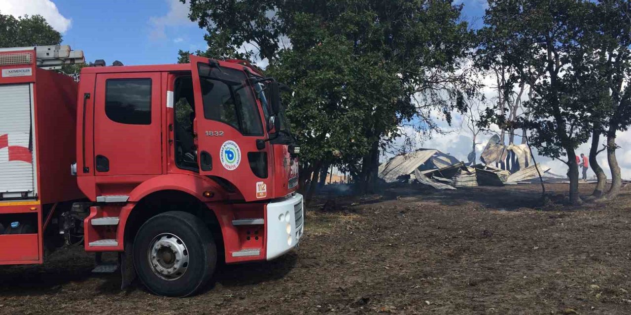 Ağılda çıkan yangın ormana sıçramadan söndürüldü