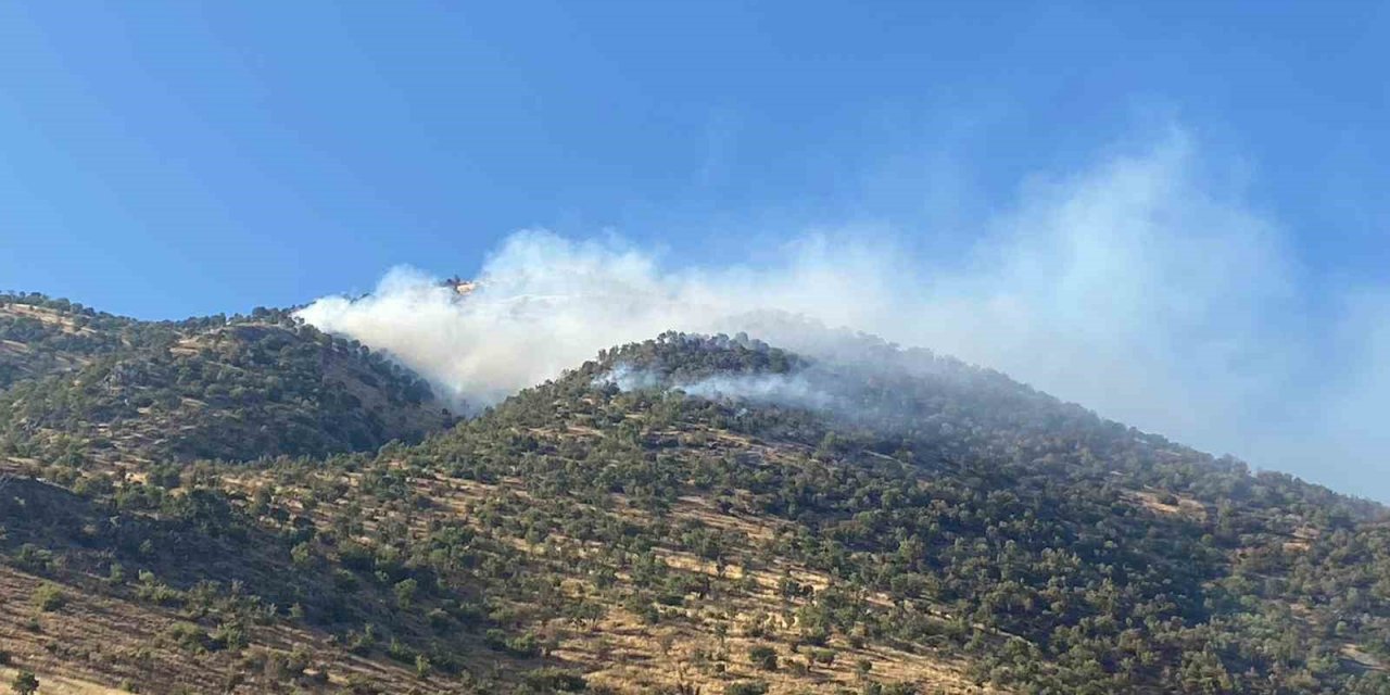 Kahramanmaraş’taki orman yangınına müdahale sürüyor