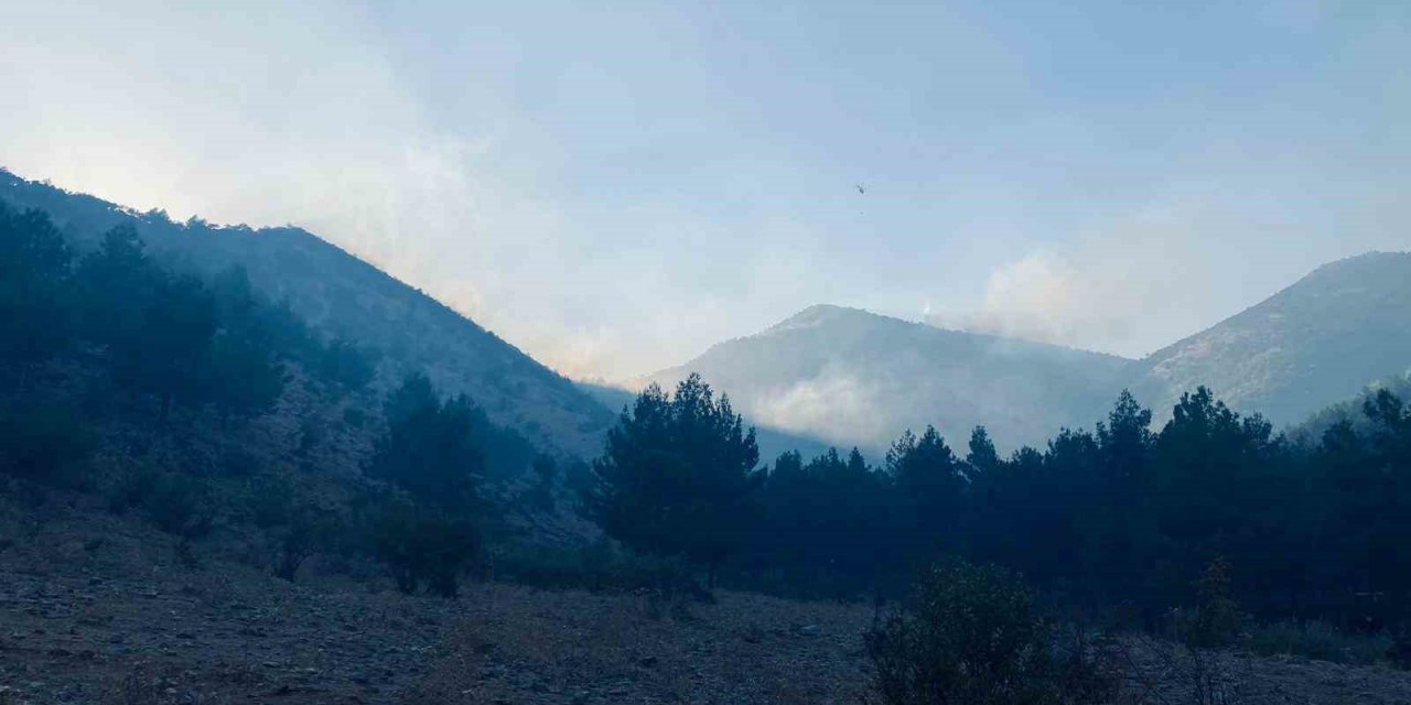 Kahramanmaraş’taki orman yangını kontrol altına alındı
