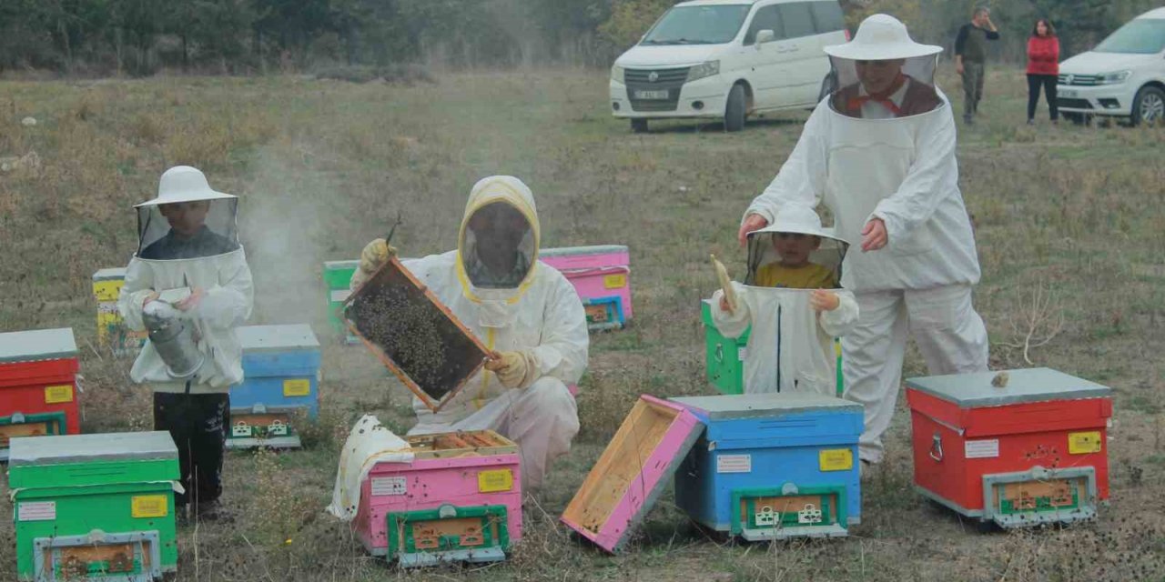 Gökkuşağı renkleriyle bal üretimi
