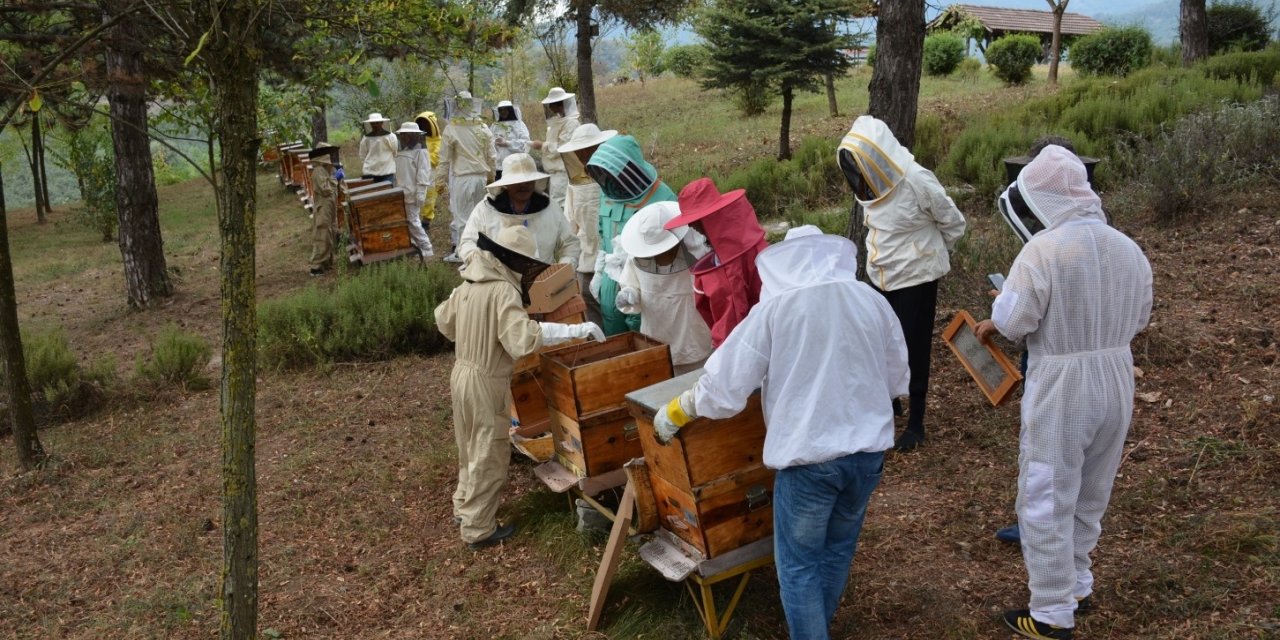 Arı zehri üretim kursu sona erdi