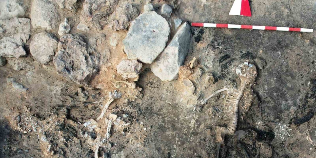 Tavşanlı Höyük kazılarında 3 bin 700 yıllık insan beyni ve deri kalıntıları çıktı