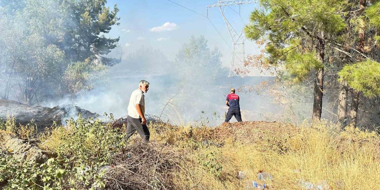 Otluk alanda çıkan yangın korkuttu