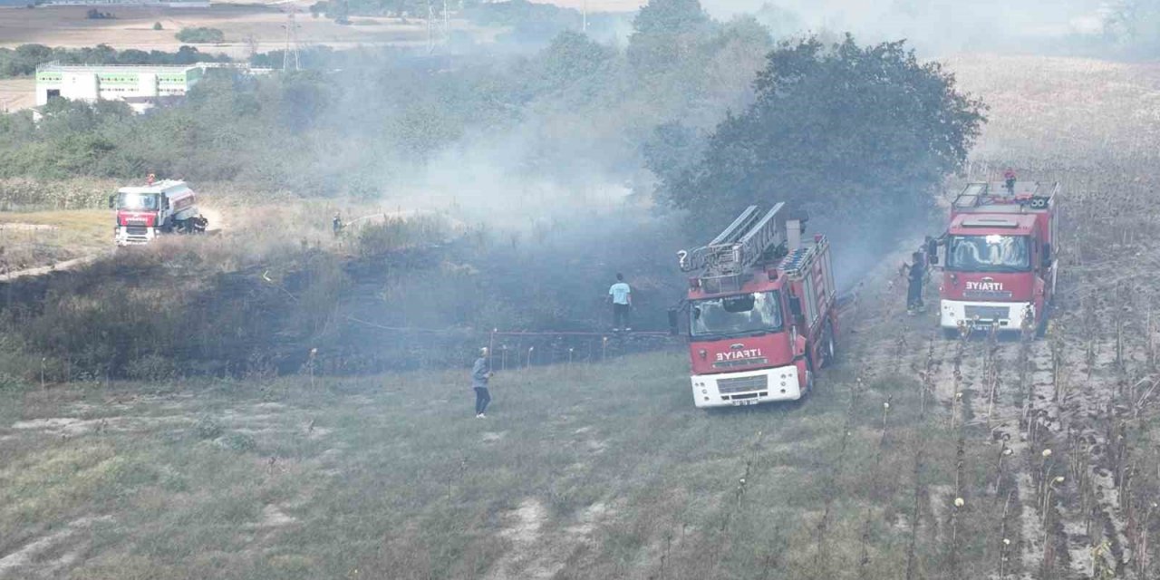 Tekirdağ’da korkutan orman yangını: Yüksek gerilim hattı zarar gördü