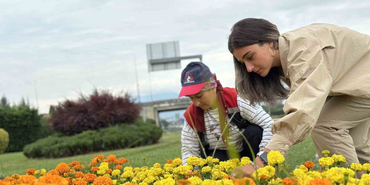 Kervan kavşağı çiçekleniyor