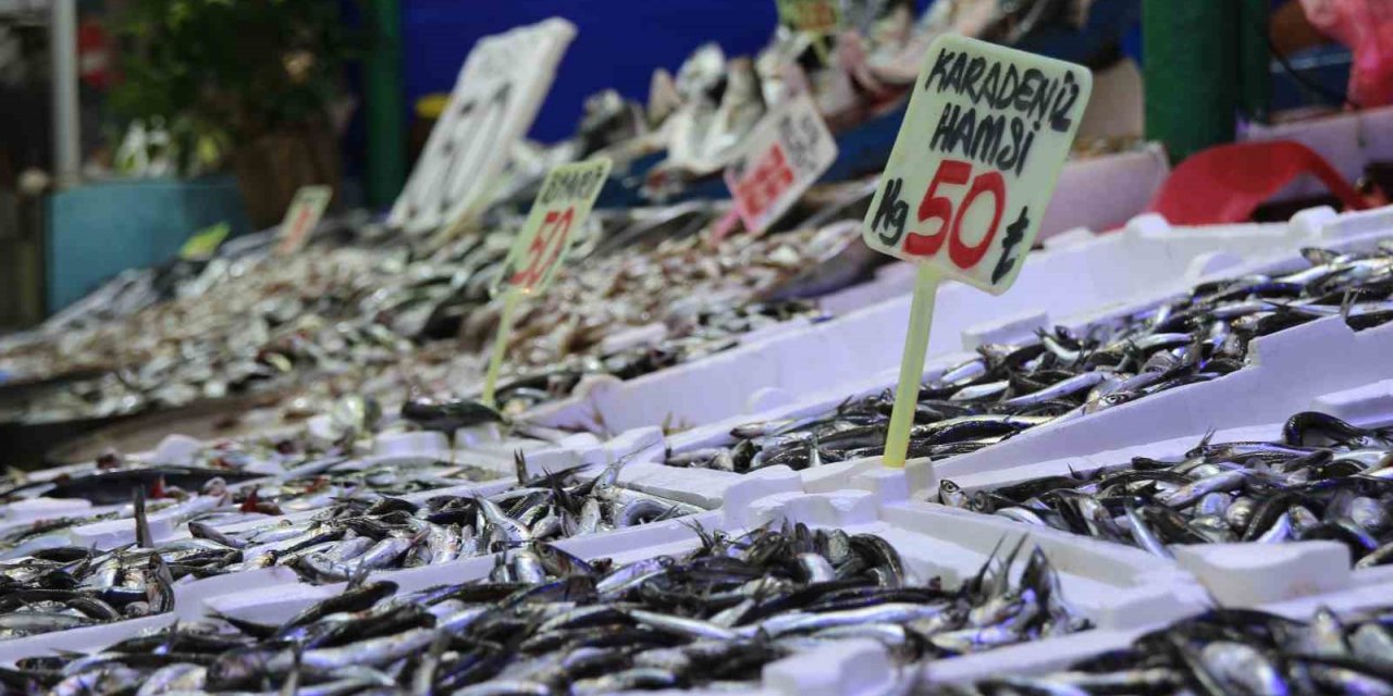 Palamut olmayınca krallık hamsiye kaldı