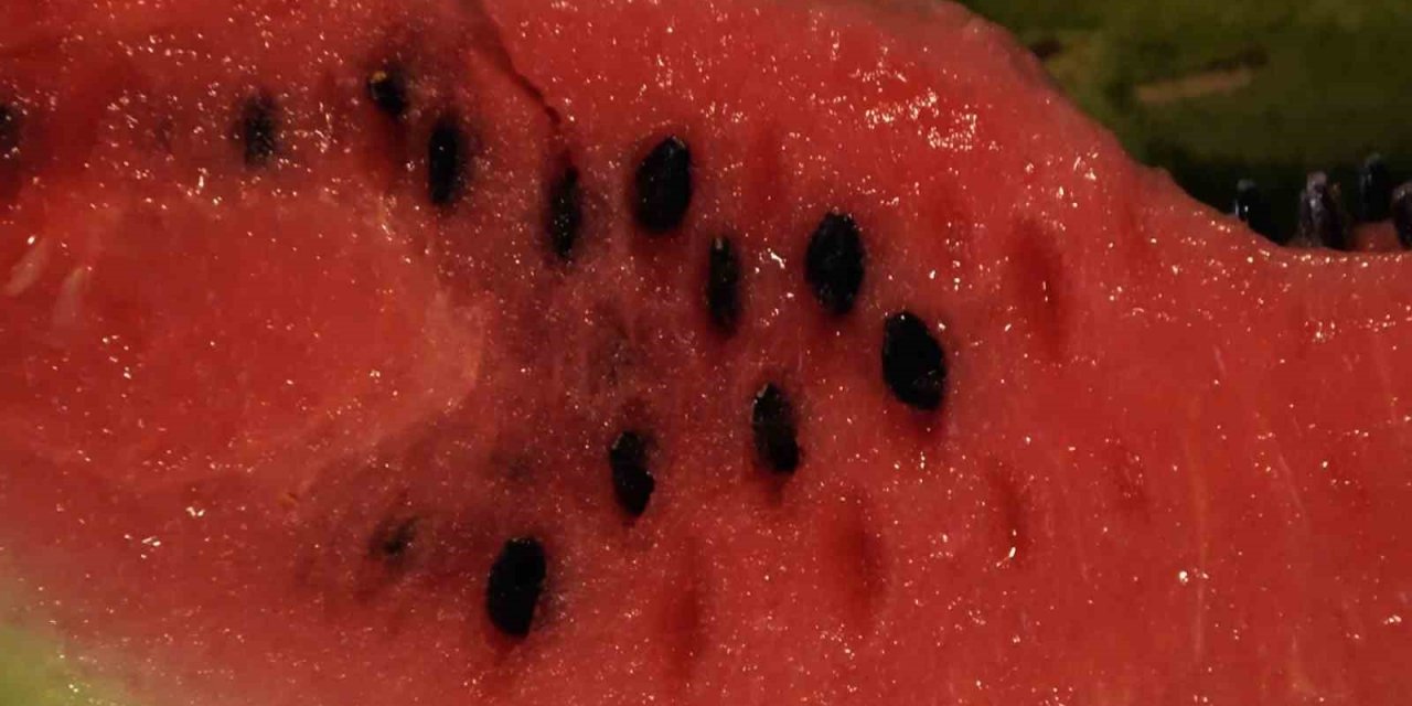 Prof. Dr. Arıca: “Karpuz çekirdeği çinko eksikliğine birebir faydalı ürün”